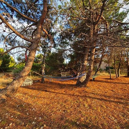 Apartmani Bellevue Vir Kültér fotó