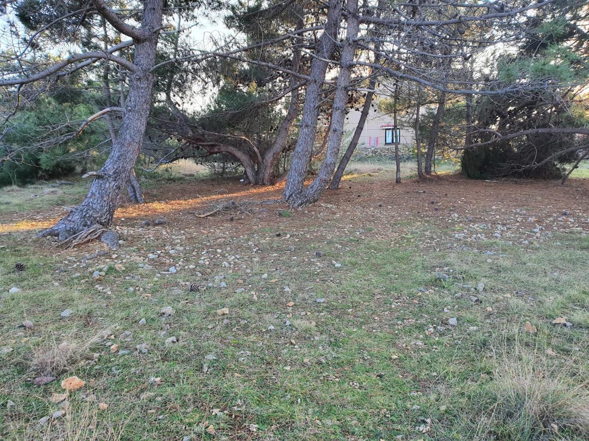 Apartmani Bellevue Vir Kültér fotó