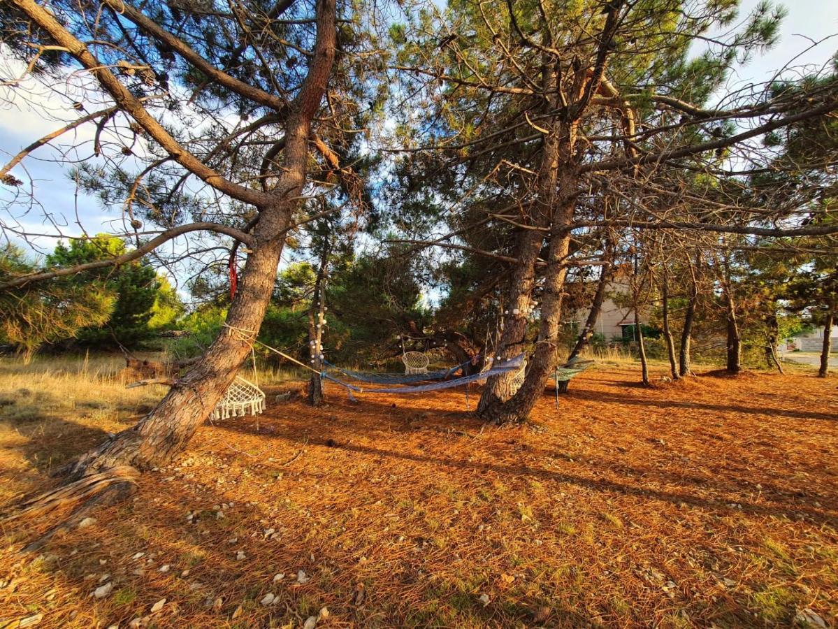 Apartmani Bellevue Vir Kültér fotó